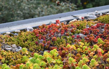 the cost of Lealholm green roof installation