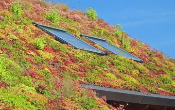 Lealholm living roof systems