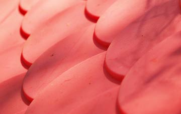 Lealholm plastic roof costs