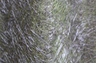 Lealholm fibreglass roof work