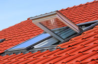 Lealholm roof window